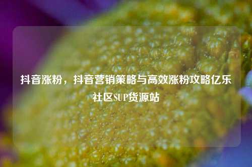 抖音涨粉，抖音营销策略与高效涨粉攻略亿乐社区SUP货源站  第1张